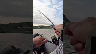 Лучшая летняя проводка на судака✅Берем на заметку. #fishing #балык #carpfishing #рыбалканаозере