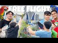 FREE FLIGHT WITH MURILLO BROS  + AVIARY TOUR!