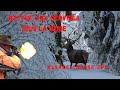 Alsace Chasse épisode 2. Battue aux cervidés sous la neige-Druckjagt auf Rotwild-Red Deer Hunting