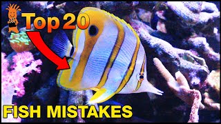 Is this fish 'reef safe' or did you just make a huge mistake? Top 20 Fish Mistakes!