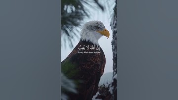 : "يَا بُنَيَّ أَقِمِ الصَّلَاةَ" سورة لقمان الآية 17