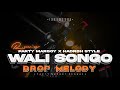 DJ SHOLAWAT VIRAL TIKTOK - WALI SONGO - STYLE PARADISE X HADROH BAS NGUK 2024