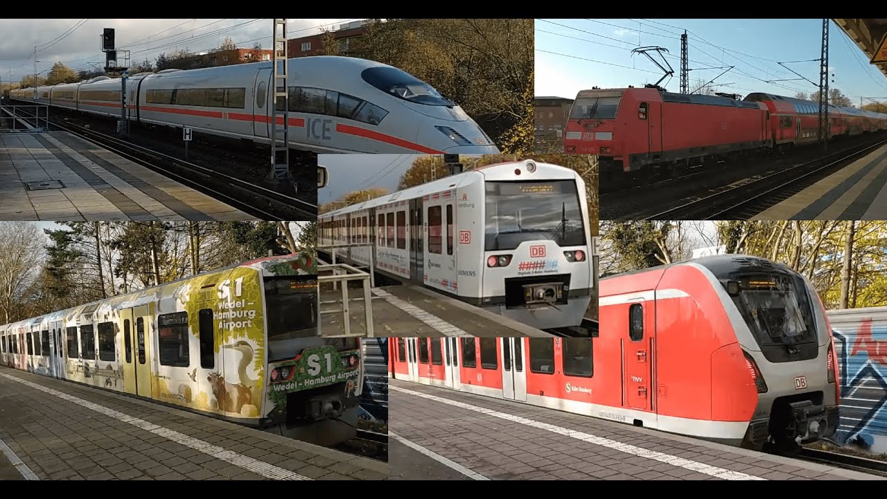 [25.11.2023] Züge in Allermöhe und Nettelnburg mit BR 474.4/474 051 auf Grünkohlfahrt