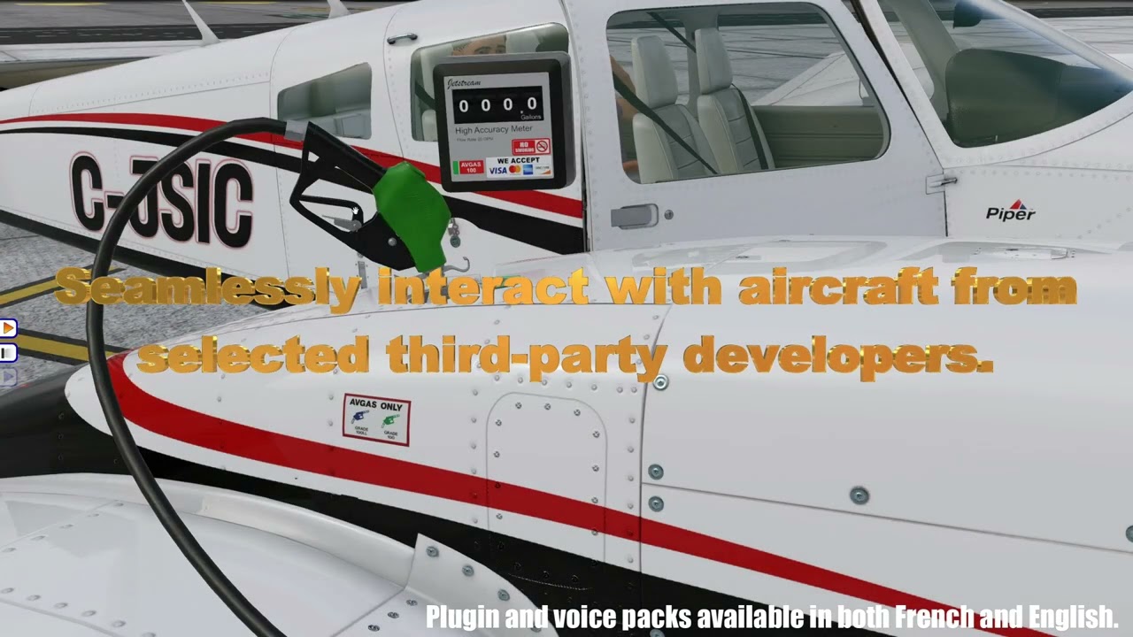 WalkAround v2 for X-Plane 12 and 11 - YouTube