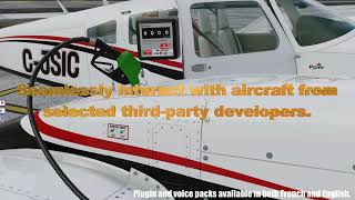 WalkAround v2 for X-Plane 12 and 11