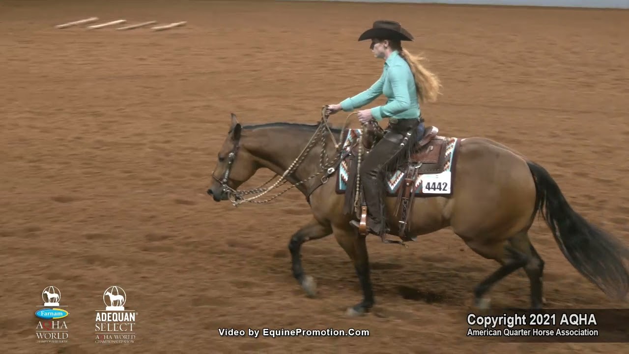 2021 Aqha Junior Ranch Riding Youtube