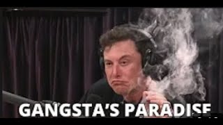 Elon Musk   I Don't Ever Give Up Gangsta's Paradise (full song)