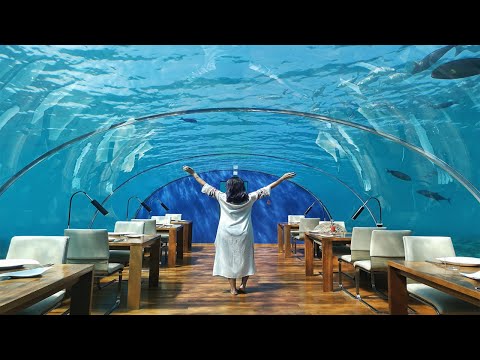 Video: Anda Bisa Menginap Di Hotel Bawah Laut