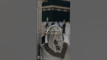 #قران_كريم #elmulquranعلم #اكسبلور #تلاوة_خاشعة #المصحف #راحة_نفسية
