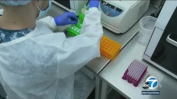 WHO declares monkeypox a global emergency | ABC7