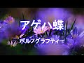 アゲハ蝶《ポルノグラフィティ》