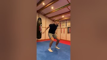 Shadow Fight moves🥋which game is next?