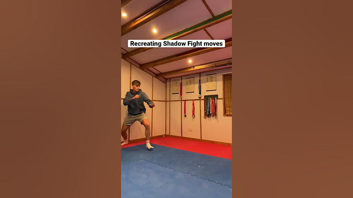Shadow Fight moves🥋which game is next?