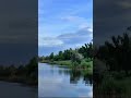 Find calm in chaos with Ambient Music