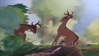 Animash-Cold Blooded