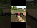 New MacDon & Canola Swathing KINLAIG #farmingsimulator25 #fs25 #farmingsimulator