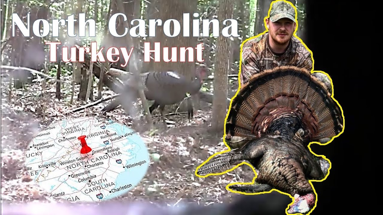 252 Outdoors North Carolina Turkey Hunt 2020 Ep.3 YouTube