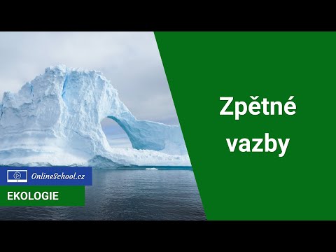 Video: Co je to negativní zpětná vazba v klimatickém systému?