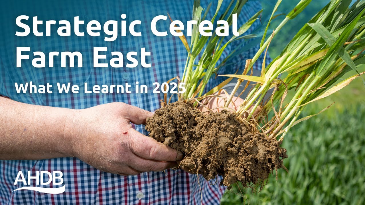 What We Learnt in 2025 at Strategic Cereal Farm East | AHDB Webinar