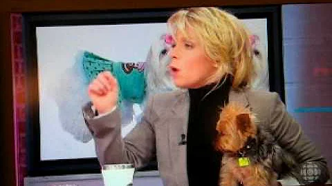 suzanne levesque fosse aux lionnes