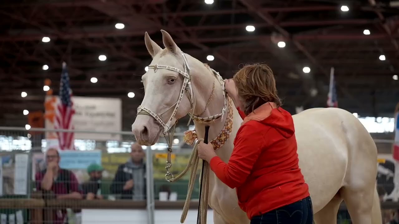 EQUITA LYON 2024 - JOUR 2
