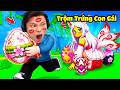 [ROBLOX] JayGray Trộm Trứng Con Gái Steal An Egg😘💋Thử Thách Cướp Trứng Anime Girl Siêu Mắc Cỡ