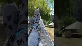 This Vibe Is  shorts hinsley