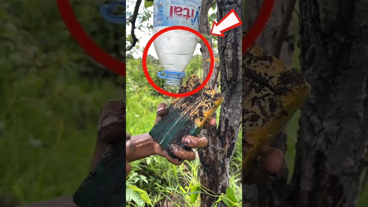 Survival Skills: SMART idea and USEFUL#bushcraft#camping#outdoors#survival