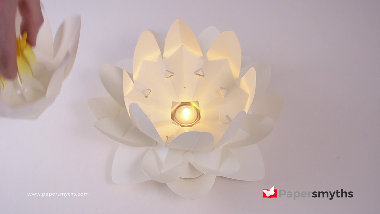 Paper water lily kit YouTube