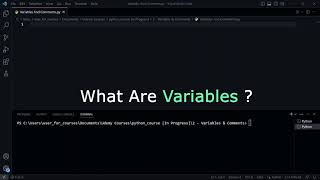 Variables and Comments in python Profile