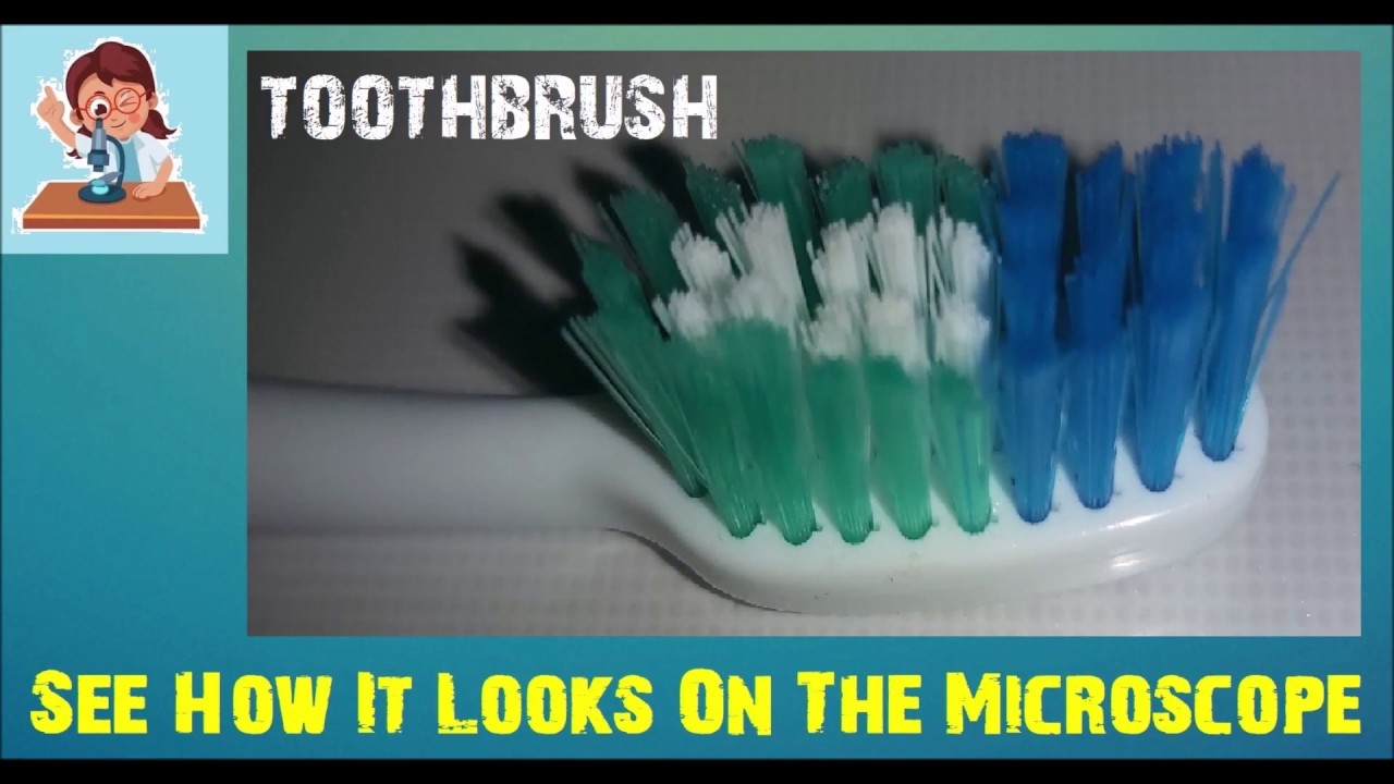 Toothbrush See How It Looks On The Microscope YouTube