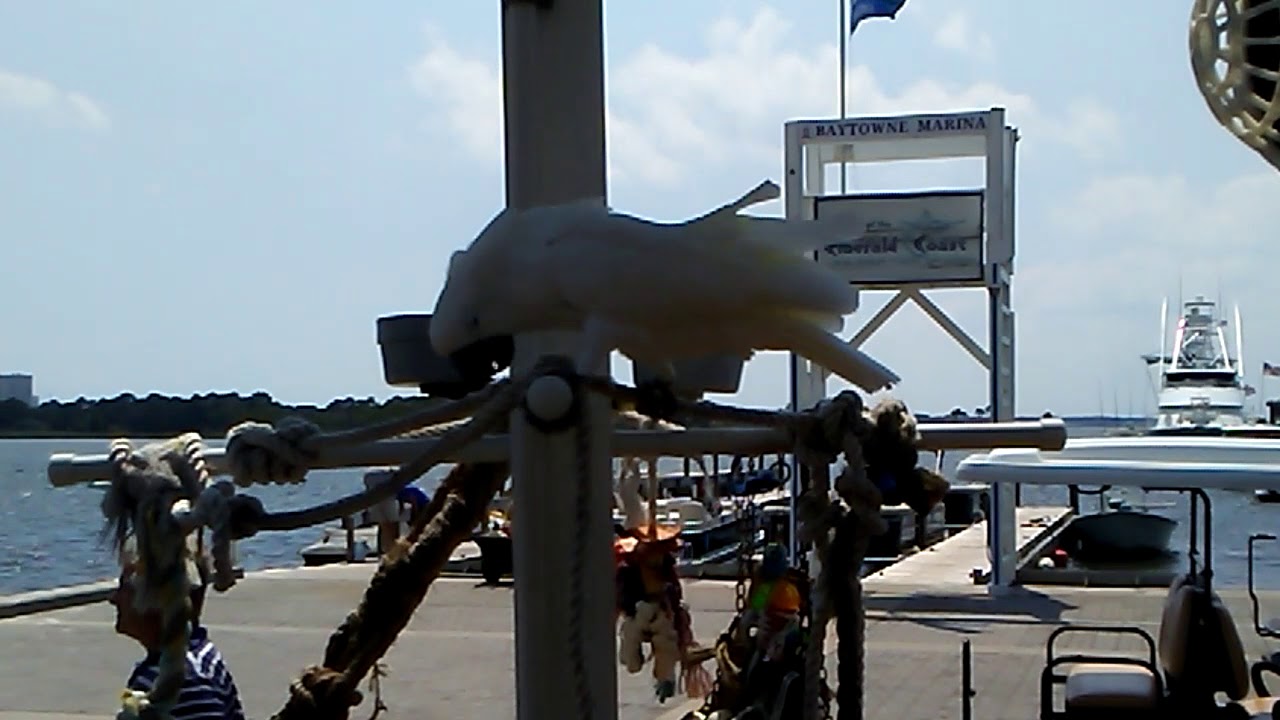 Cockatoo at Marina Bar & Grill, Sandestin, Florida, June 4, 2018 YouTube