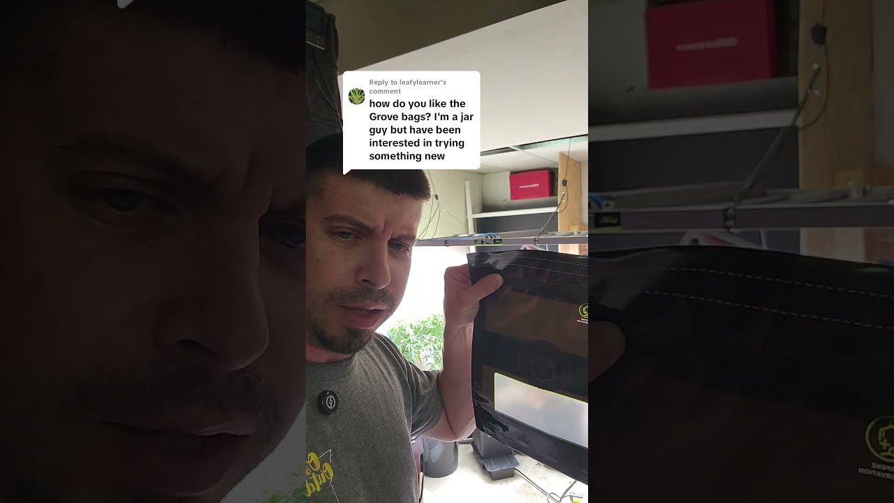 grove bags GOOD OR BAD? 