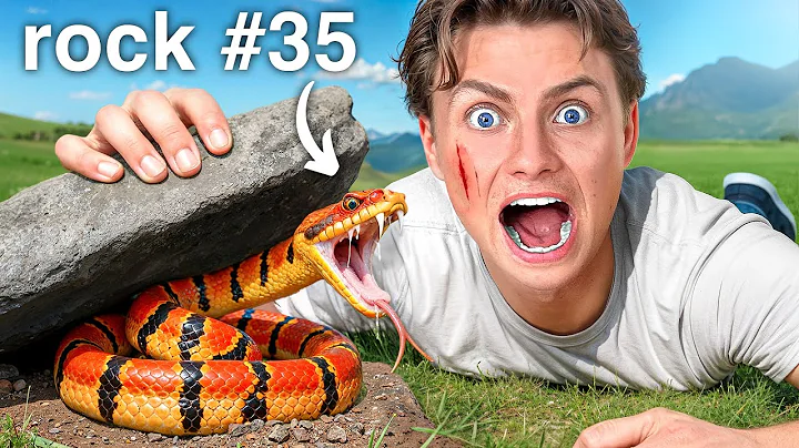 I Flipped 100 Rocks in My Backyard, Here's What I Found...