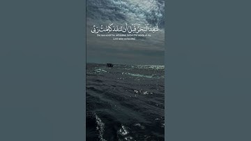 سورة الكهف - د/عادل احمد زكي