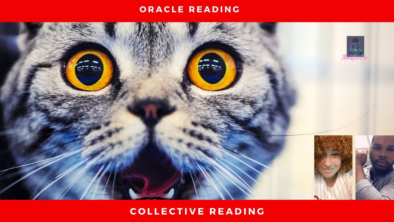 🤣THEY ARE STUNNED THAT THEY’RE IN TROUBLE🤣#divinejustice #divinefeminine #divineprotection #divine