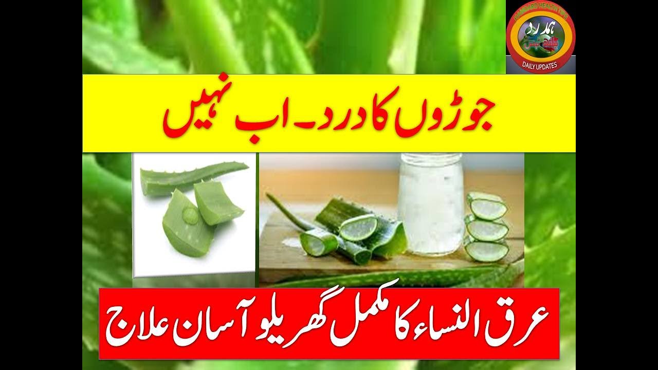 Aloe Vera for Joint Pain Hamdard Health Tips ایلویرا سے چوڑؤں کا درد ختم YouTube