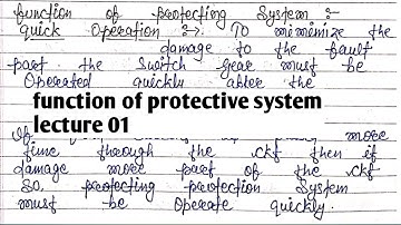 function of protective system