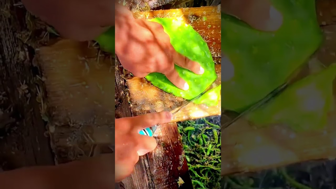 simple way to clean cactus for processing 