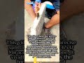 Natural Stone Miracema Granite Cutting Process #Engineering #Process #Michael Jackson #Billie Jean
