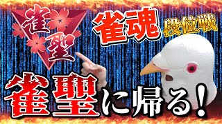 とりヒューマンの配信のサムネイル画像
