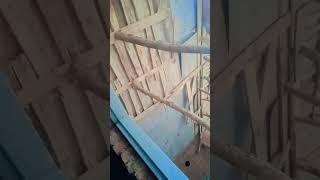 soft and GPS says mohaal 💪🥃 beautiful rose 🌹 screenshot 5