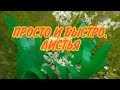 Простые и красивые листья ДЛЯ  ЦВЕТОВ.