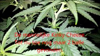 Download Lagu Berry's  film 6 MP3