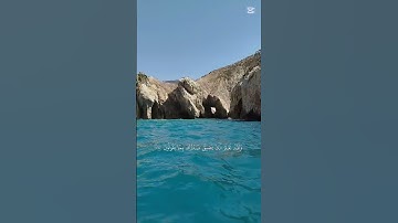 آيات من الذكر الحكيم #القرآن_الكريم #القرآن #تلاوة_خاشعة
