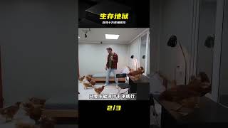 男人挑戰與百雞十萬蒼蠅同吃同住 #挑战 #生存 #苍蝇 #惊悚 #鸡