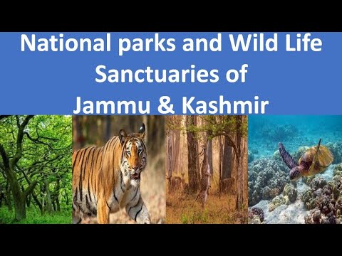 Vídeo: Quantos santuários de vida selvagem em Jammu e Caxemira?