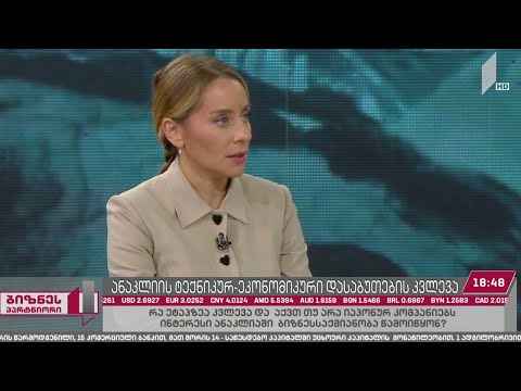 ანაკლიის ტექნიკურ-ეკონომიკური დასაბუთების კვლევა