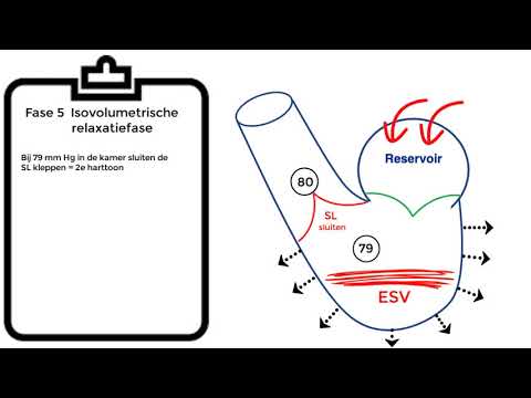 Video: Watter kleppe is gesluit tydens sistole?