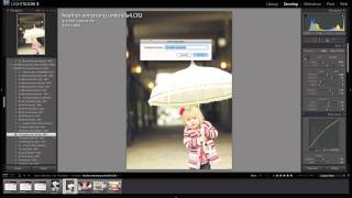 How to achieve a hazy, vintage photo edit with Lightroom presets screenshot 3